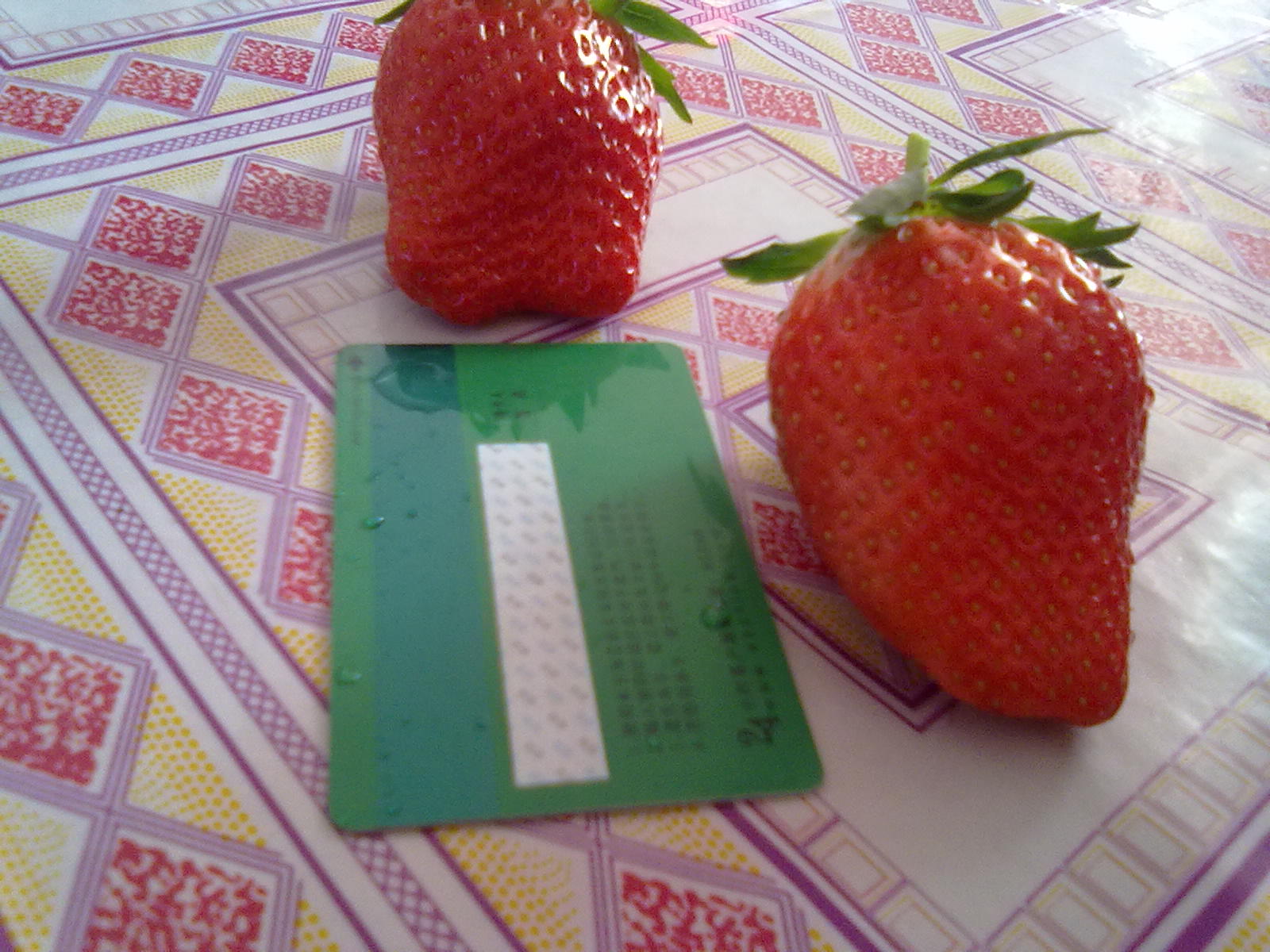 甜宝丰香草莓